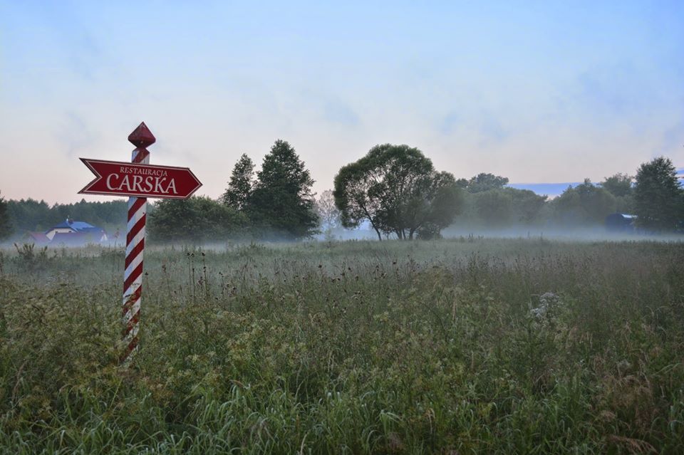 zakochana para spacerująca nad strumieniem